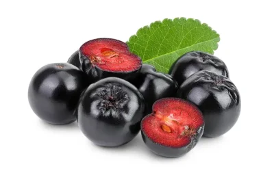 Aronia Melanocarpa Extract: A Powerful Antioxidant for Cellular Protection