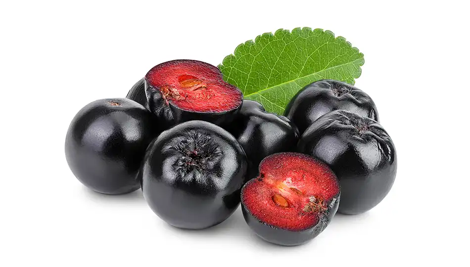Aronia Melanocarpa Extract: A Powerful Antioxidant for Cellular Protection